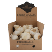 The Garlic Farm - Large White Iberian Bulb(s) (x30)
