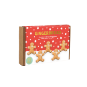 Treat Kitchen - Gingerbread People Icing Kit (12 x 129g)